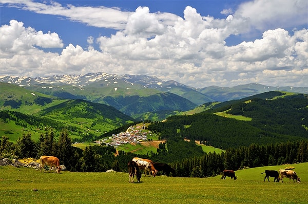 Kümbet Plateau