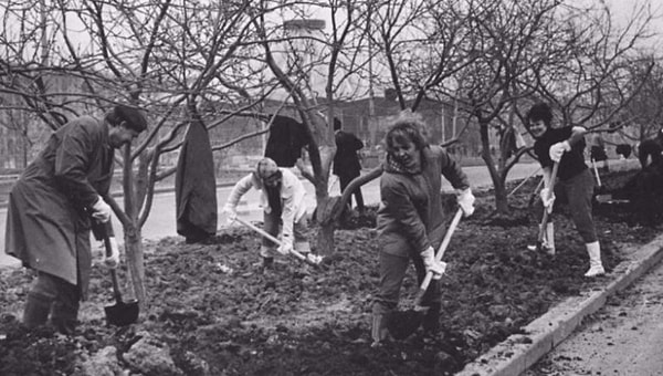 12. В некоторых случаях участие в субботниках могло заменить обязательный трудовой стаж для выпускников вузов.