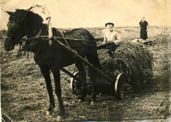 18. Воскресник по закладке кормов в колхозе Культура (1957 год).