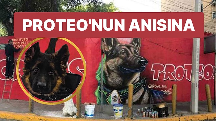 Proteo'nun Anısına: Türkiye ile Meksika Arasında Köpek Diplomasisi