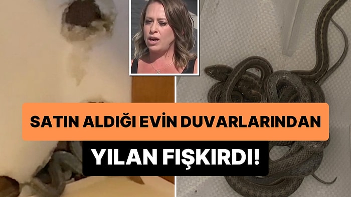 Yeni Aldığı Evin Duvarlarından Yılanlar Fışkıran Talihsiz Kadın