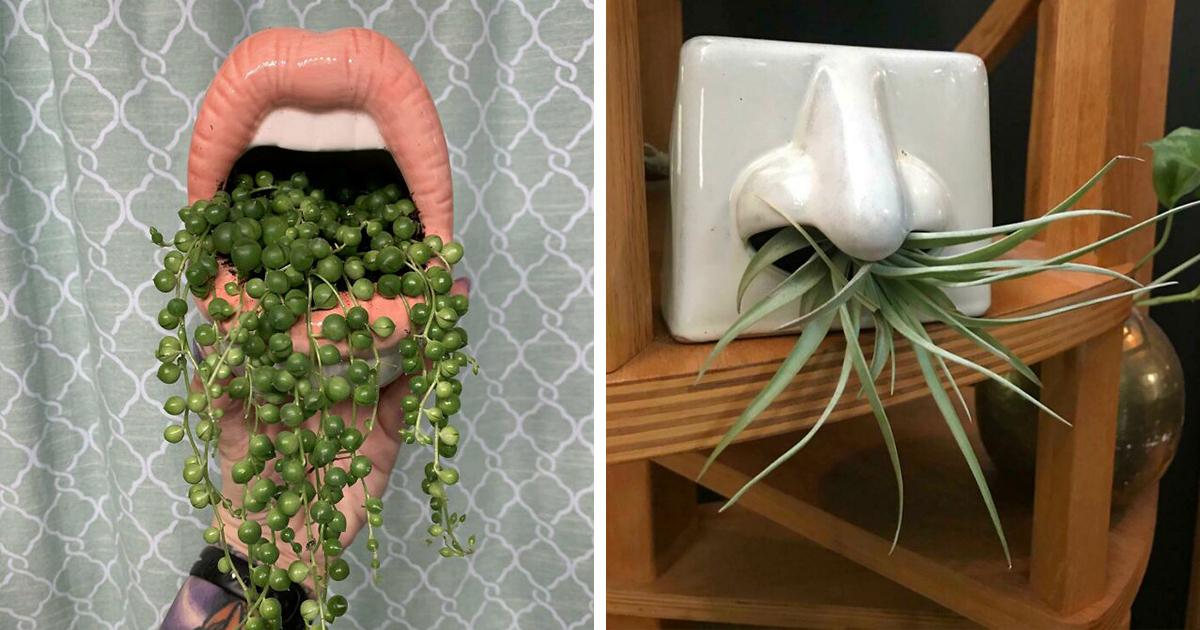 35 креативных горшков для растений, которые превратят простую зелень в шедевры