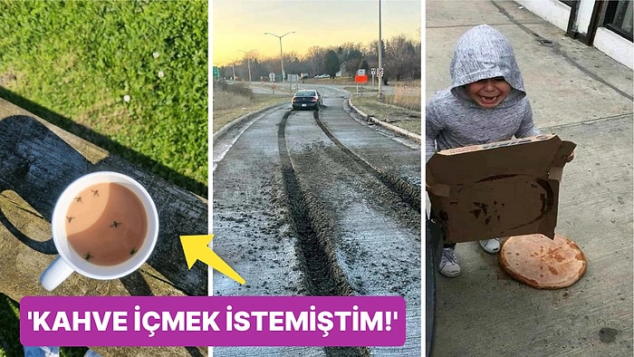 Çöle Düşse Kutup Ayılarıyla Karşılaşıp Birtakım Tatsız Olaylar Yaşayabilecek 15 Bahtsız Kişi