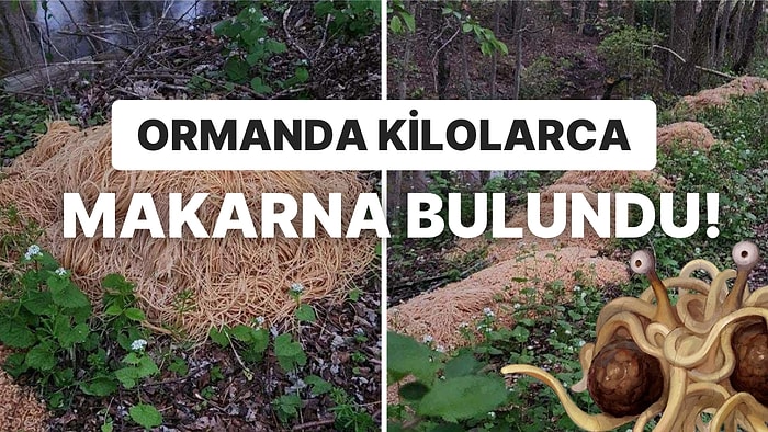 Belediye Başkanı Umursamamış: Ormanlık Alanda Bulunan 230 Kiloluk Gizemli Dev Makarna Yığını Gündemde!