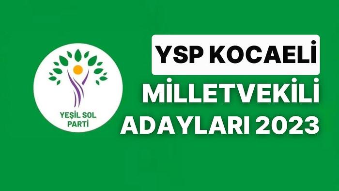 Yeşil Sol Parti Kocaeli Milletvekili Adayları 2023: YSP Kocaeli Milletvekili Adayları Kimdir?