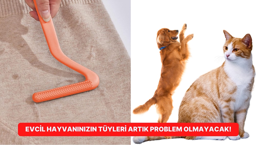Kedi Köpek Sahiplerinin Dikkatine! En İyi Tüy Toplayıcı Ürünler