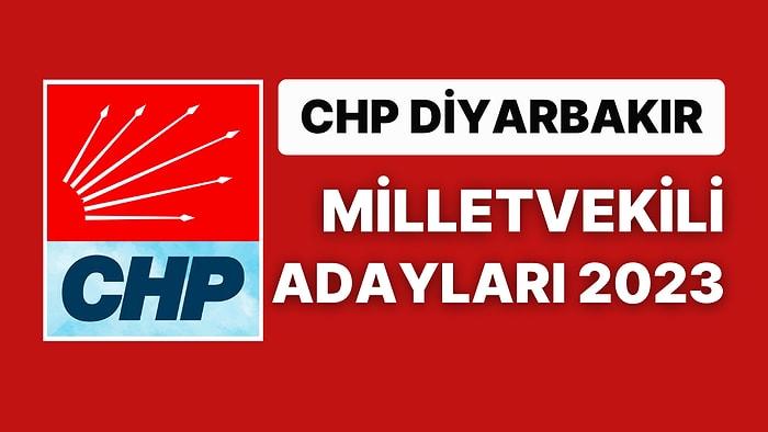 CHP Diyarbakır Milletvekili Adayları 2023: Cumhuriyet Halk Partisi Diyarbakır Milletvekili Adayları Kimdir?