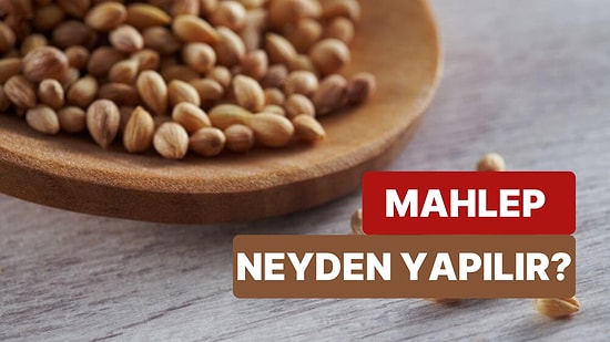 Mahlep Neyden Yapılır? Besin Değerleri ve Faydaları