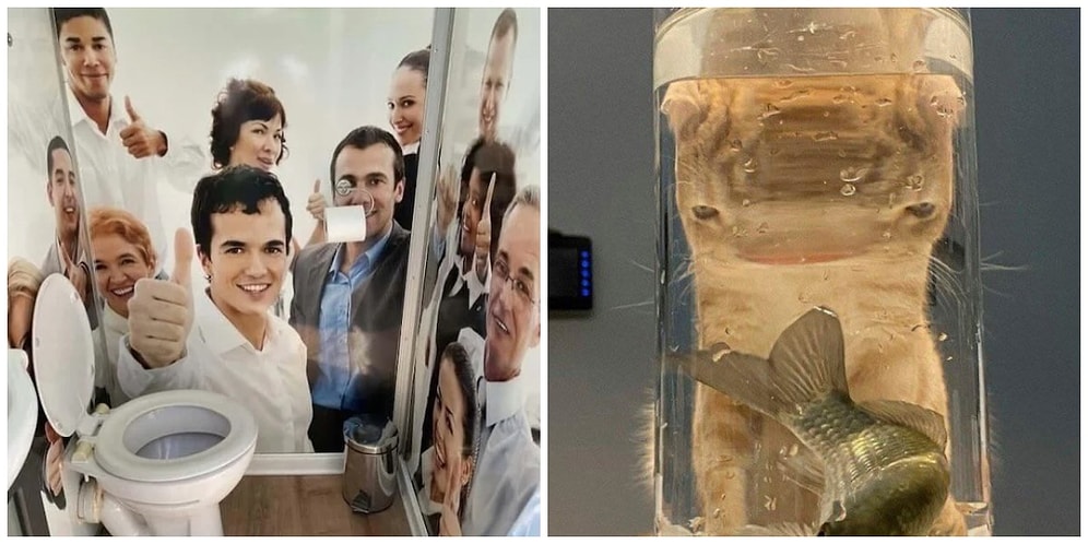 20 рандомных фото, которые поразят вас своей необычностью (часть 1)