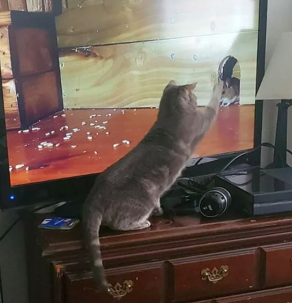 4. Реалистично, однако, показывают!