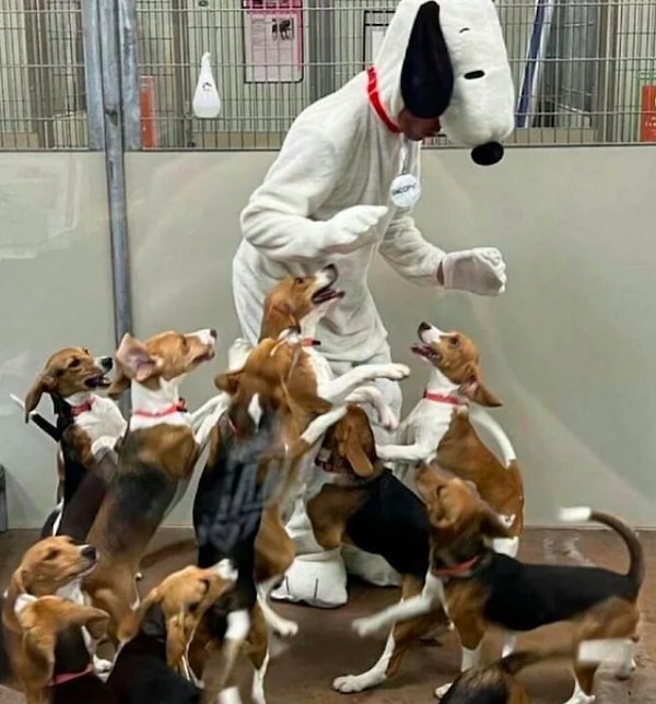 6. Как вам такое представление?