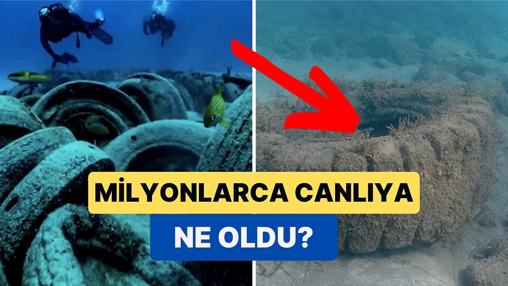 Balıklara Yuva Olması için Okyanusa Bırakılan 2 Milyon Lastik Bir Felakete Yol Açtı!