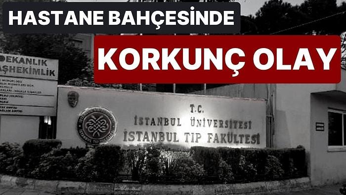 İstanbul Üniversitesi'nde Silahlı Saldırı: Bir Kadını Vurdu, Sonra İntihar Etti