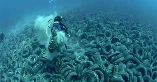 Как 2 миллиона покрышек, сброшенных в океан, чтобы стать домом для рыб, привели к катастрофе