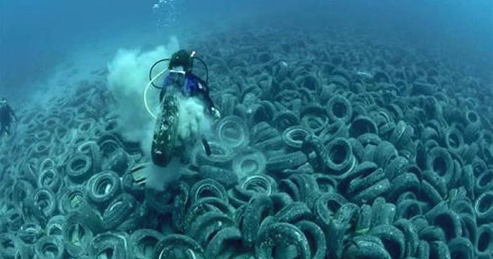 Как 2 миллиона покрышек, сброшенных в океан, чтобы стать домом для рыб, привели к катастрофе