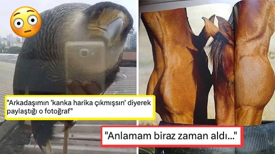 İlk Bakışta Anlam Veremeyerek Durup Dururken Beyninizin Ayarlarıyla Oynayacak Birbirinden İlginç 15 Görsel