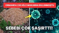 Ormanda Bulunan 230 Kilo Pişmiş Dev Makarna Yığınının Gizem Perdesi Aralandı! İşte Herkesi Şaşırtan O Sebep