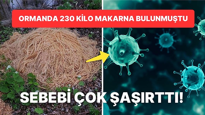 Ormanda Bulunan 230 Kilo Pişmiş Dev Makarna Yığınının Gizem Perdesi Aralandı! İşte Herkesi Şaşırtan O Sebep