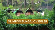 Portakal Çiçeği Kokularıyla Unutamayacağınız Bir Olimpos Tatili İçin Uygun Fiyatlı Bungalov Evler