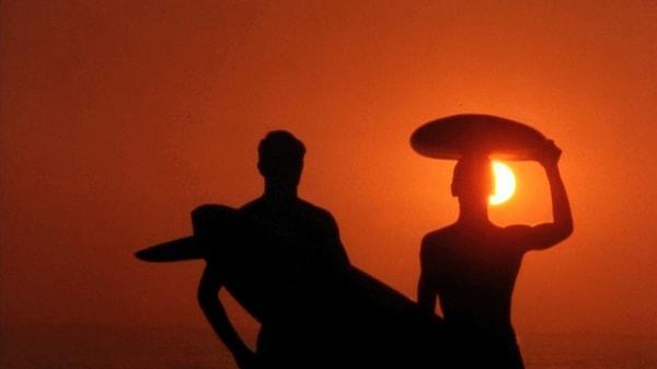 11. The Endless Summer, 1965