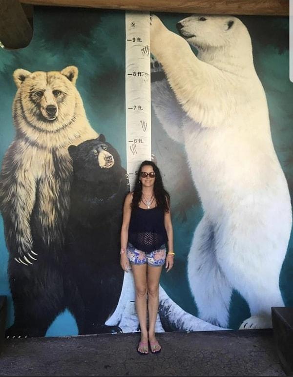 16. Bir insanınkiyle ayıların uzunluğunu ve cüssesini karşılaştıran görüntü👇