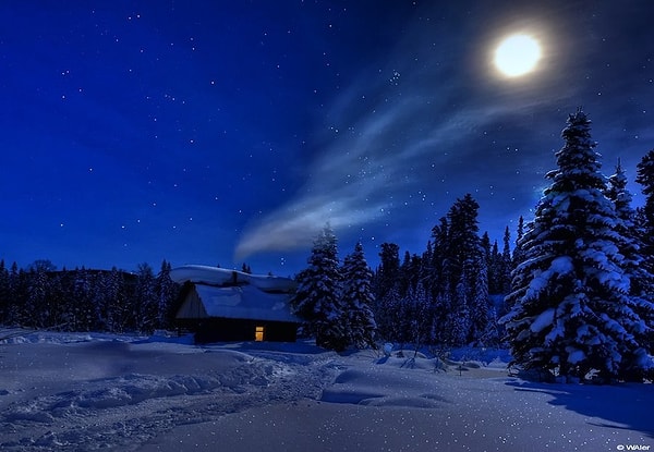 4. Кто автор стихотворения «Зимняя ночь» («Свеча горела на столе»)?