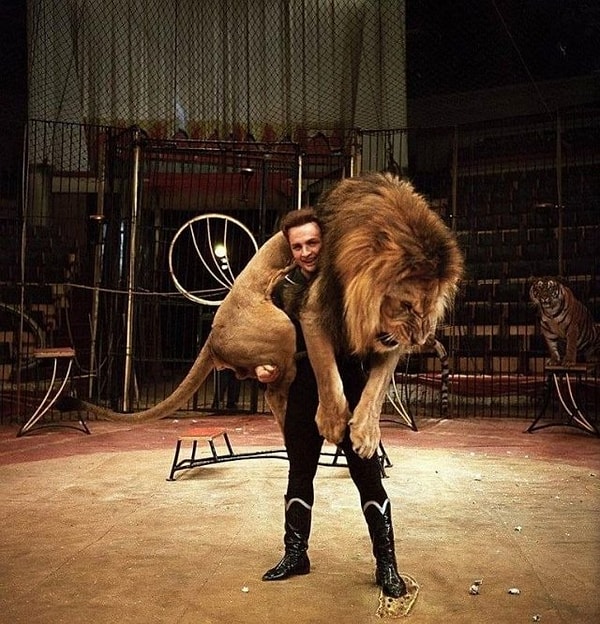 12. Дpecсировщик Вaльтер Запашный и лeв (1960-e годы).