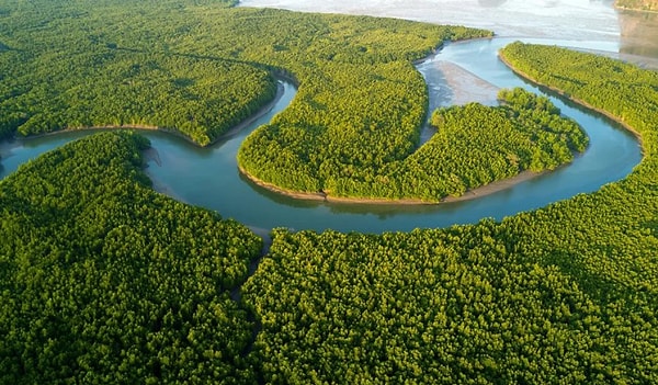 3. Какая из двух самых длинных в мир рек протекает в Африке: Нил или Амазонка?