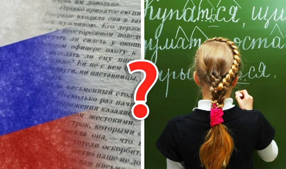 Тест по-русскому: Сможете ответить на 8/10, или ваш язык на уровне «Моя твоя не понимай»?