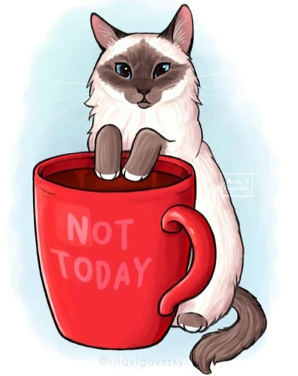 12. «Не сегодня»