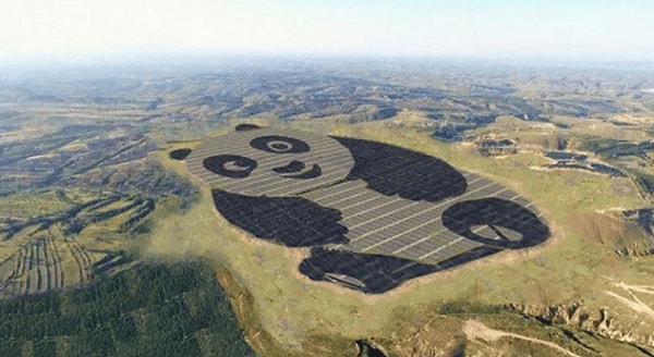 15. Обитанием на территории своей страны панд китайцы очень гордятся.