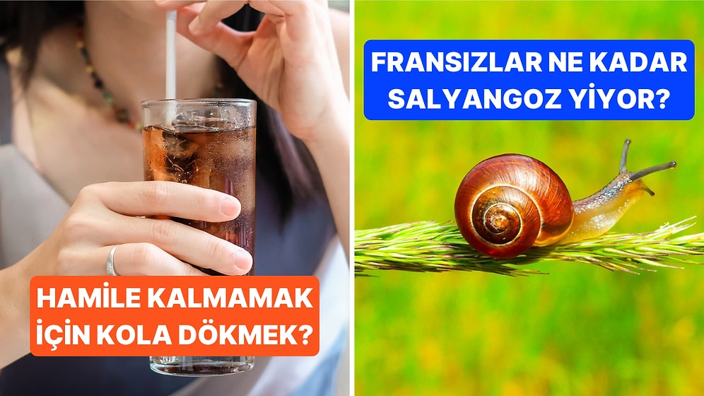 Öğrendiğiniz Andan İtibaren Bilgi Şöleninde Boğulacağınız Birbirinden İlginç Kültürel Gerçekler