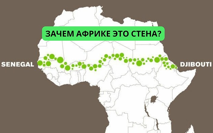 Проект "Великая зеленая стена": барьер лесов, способный прекратить распространение пустынь в Африке