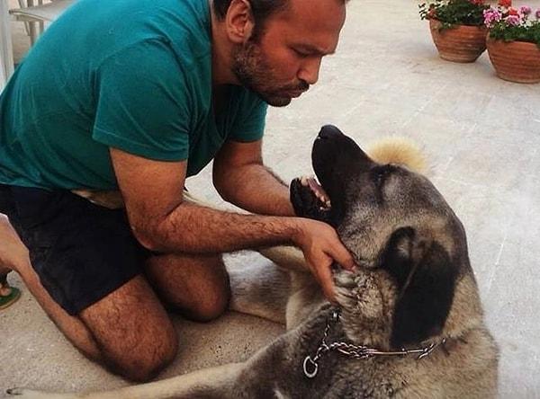 11. Ünlü oyuncu Ali Sunal bu sefer yaptığı duygusal paylaşımla gündeme geldi. Can dostu köpeğinin hayata gözlerini yumduğunu duyuran Ali Sunal, paylaşımıyla köpeğine veda etti!