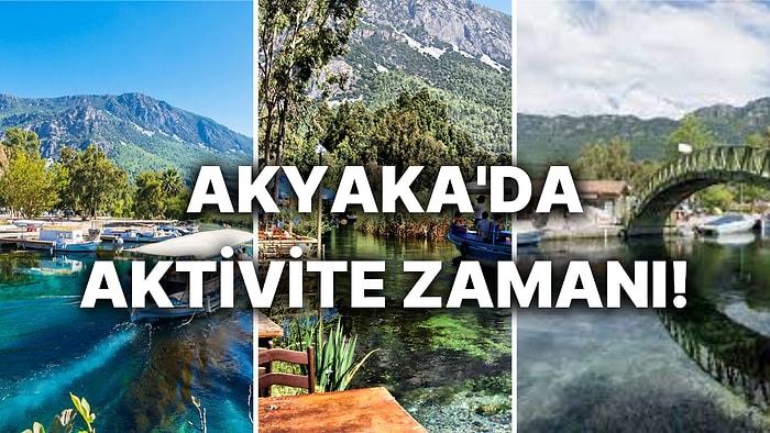 Akyaka'da Yapılacak Aktiviteler: Aktivite Tutkunlarına Özel Akyaka'da Yapılacaklar Listesi