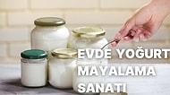 Evde En Lezzetli Şekilde Yoğurt Mayalama Nasıl Yapılır? Yoğurt Mayalamanın Süreci Nelerdir?