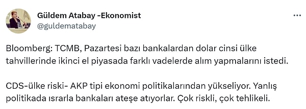 Yorumlamaya çalıştılar.