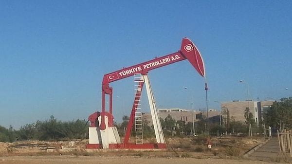 Türkiye Petrolleri Anonim Ortaklığı (TPAO) kaç personel alacak?