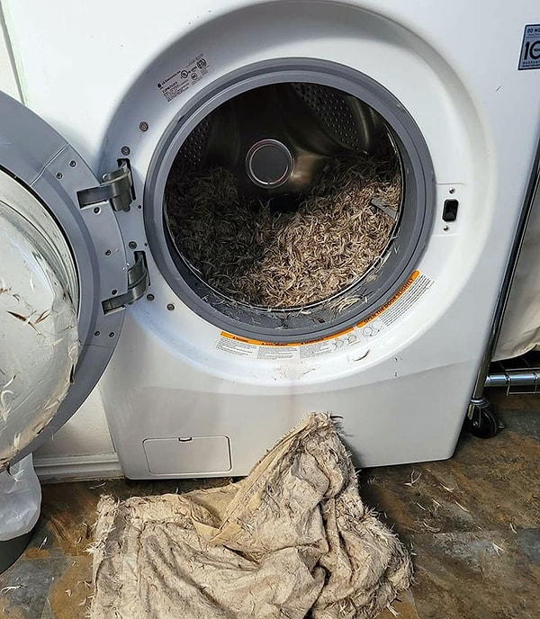 32. «Парень пытался постирать подушку»