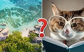 Тест по географии, который каждый образованный человек должен пройти на 13/15