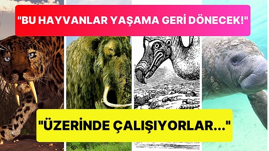 Bilim İnsanlarının Yaşama Geri Döndürmeyi En Çok Umduğu Nesli Tükenmiş 10 Canlı