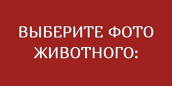 3. А теперь...