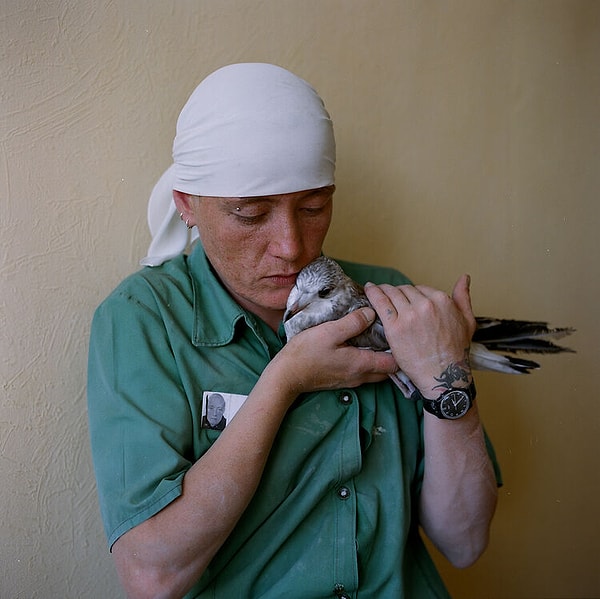 Иногда Маня находит больных животных и лечит их, а затем освобождает их на волю.