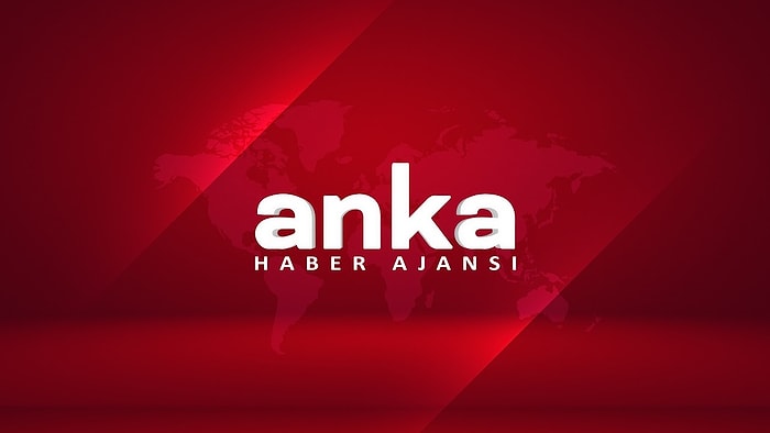 ANKA Haber Ajansı'nın Açılımı Nedir? ANKA Ne Demek?