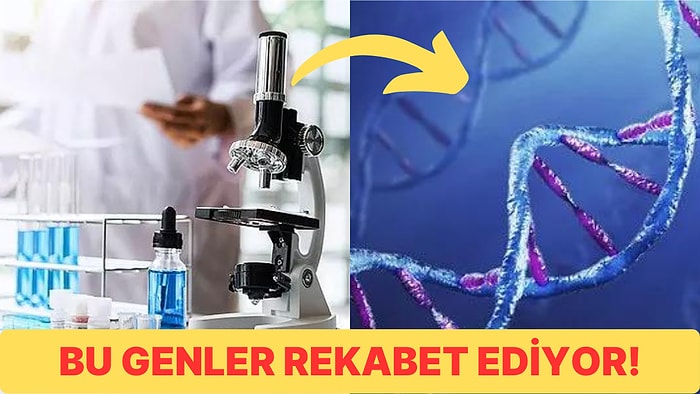 Bencil Gen Teorisi Nedir ve İnsan Doğasında Neleri Etkiler?