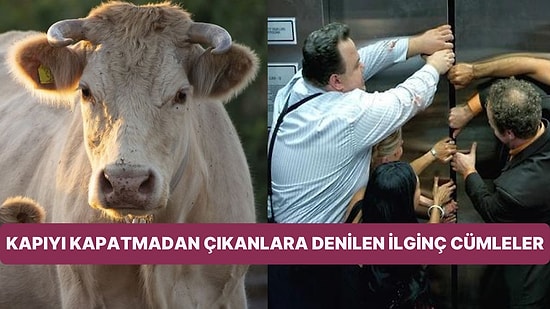 Bizim Millet Çıkarken Kapıyı Kapatmayana "Kapısız Köyden mi Geldin?" Diye Bağırırken Başka Milletler Ne Diyor?