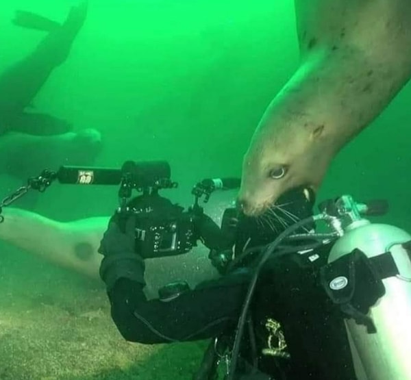 21. «Да сколько можно терпеть этих туристов?!!»