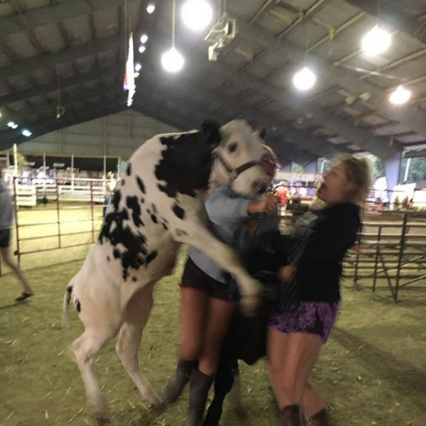 40. «Мадам, потанцуем?»