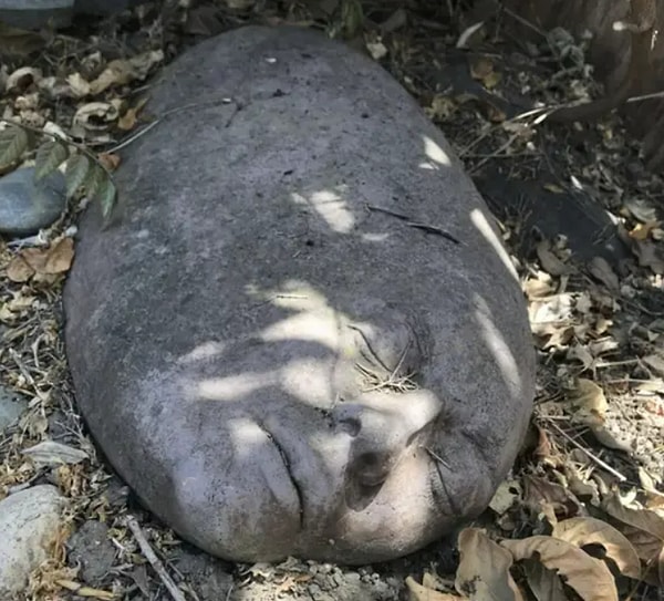 20. И, наконец, камень с лицом трупа: