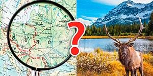 Тест для отчаянных географов: 20 вопросов про мир, которые покоряться только экспертам